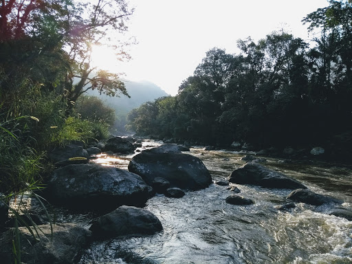 10 Melhores Chalés Alpinos em Rio dos Cedros, Santa Catarina 2025