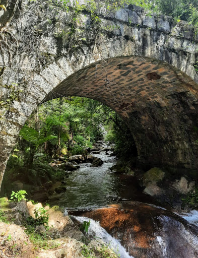 10 Melhores Chalés Alpinos em Itamonte, Minas Gerais 2025