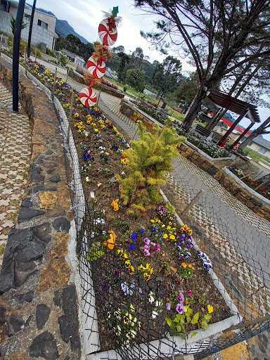 10 Melhores Chalés Alpinos em Bom Jardim da Serra, Santa Catarina 2025
