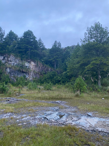 10 Melhores Chalés Alpinos em Itupava, Santa Catarina 2025